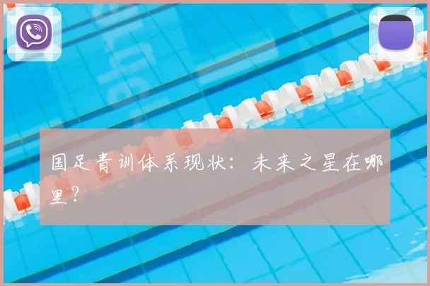 国足青训体系现状：未来之星在哪里？