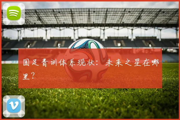 国足青训体系现状：未来之星在哪里？