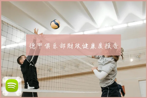 德甲俱乐部财政健康度报告
