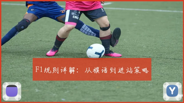 F1规则详解:从旗语到进站策略