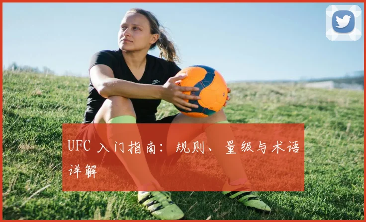 UFC 入门指南：规则、量级与术语详解