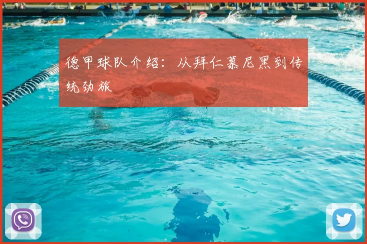 德甲球队介绍：从拜仁慕尼黑到传统劲旅