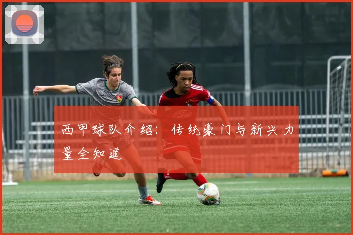 西甲球队介绍：传统豪门与新兴力量全知道