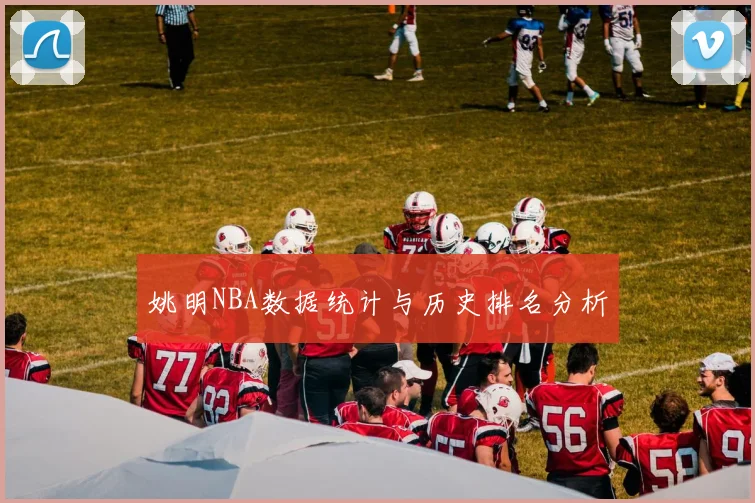 姚明NBA数据统计与历史排名分析