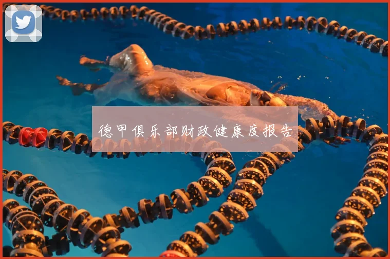 德甲俱乐部财政健康度报告
